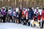 В Барнауле прошёл первый этап Кубка России по гонке-буксировке и Кубок на призы зоомаркета «Альф» в состязаниях упряжек.
