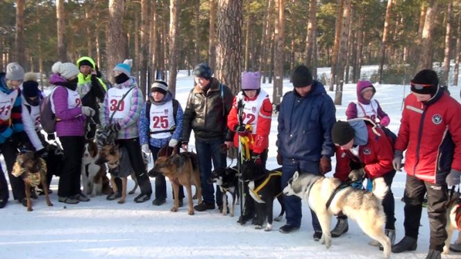 В Барнауле прошёл первый этап Кубка России по гонке-буксировке и Кубок на призы зоомаркета «Альф» в состязаниях упряжек.