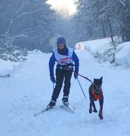 Алтайские кинологи-спортсмены - победители и призёры II этапа Кубка России по гонке-буксировке.