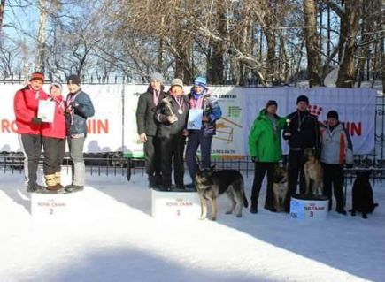 Алтайские кинологи-спортсмены - победители и призёры II этапа Кубка России по гонке-буксировке.