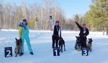 Алтайские кинологи-спортсмены – победители и призёры чемпионата, первенства и финала Кубка России.