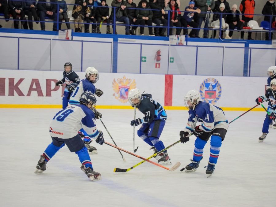 Краевой финал «Золотой шайбы» в группе юношей 12-13 лет в Целинном районе выиграли местные «Бочкари»
