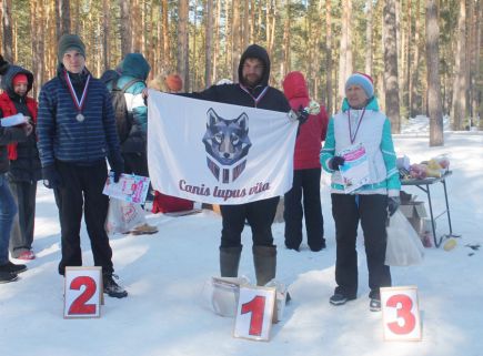 На барнаульской «Трассе здоровья» разыграли Кубок Алтайского края «Сибирские капели-2017» по гонке-буксировке лыжника и гонке на собачьих упряжках.