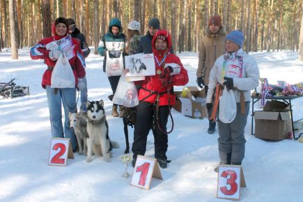 На барнаульской «Трассе здоровья» разыграли Кубок Алтайского края «Сибирские капели-2017» по гонке-буксировке лыжника и гонке на собачьих упряжках.