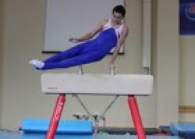 14 апреля. Бийск. Зал спортивной гимнастики с/к "Заря". Всероссийские соревнования "Кубок космонавтики".