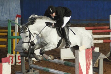 Алтайские конники привезли 23 личных медали и 5 командных кубков с чемпионата и первенства СФО в помещении (фото).