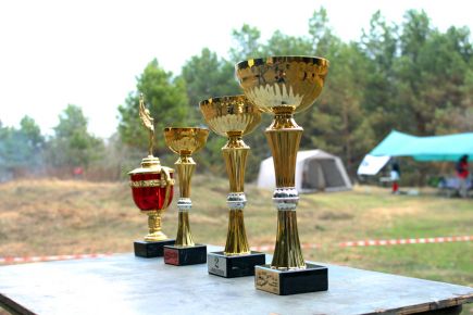 Проба весла