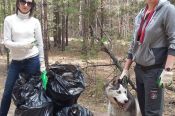 Краевая федерация кинологического спорта организовала уборку мусора на барнаульской "Трассе здоровья".