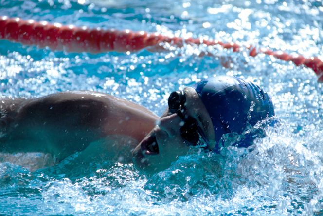 Двенадцатичасовой марафонский заплыв состоялся в Барнауле.