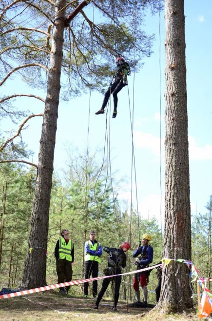 В Алтайском районе прошли первенство и чемпионат Сибирского федерального округа на пешеходных дистанциях.