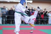 В Барнауле состоялось Первенство России по киокусинкай каратэ среди юношей 12-13 лет.