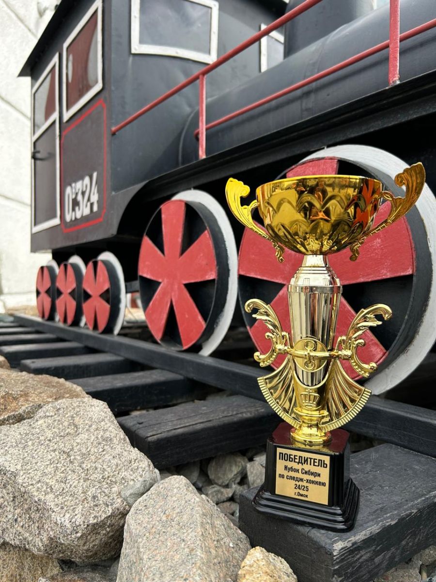 Следж-хоккейный клуб «ВОИтели-Алтай» выиграл детский «Кубок Сибири» в Омске