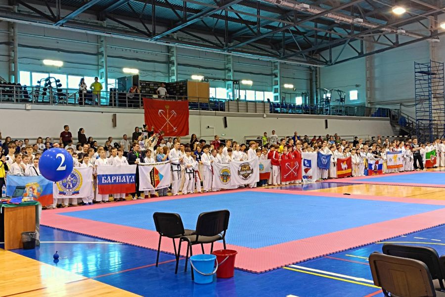 Алтайские спортсмены успешно выступили на всероссийских соревнованиях на призы ФСО «Динамо» и чемпионате России среди ветеранов по тхэквондо ИТФ