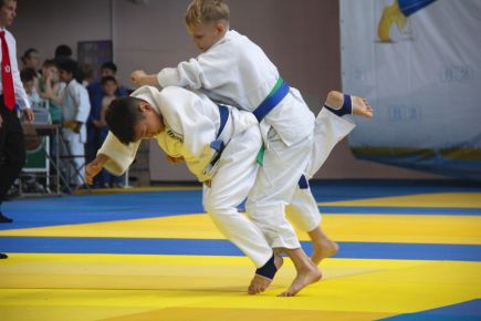 Татами для роста