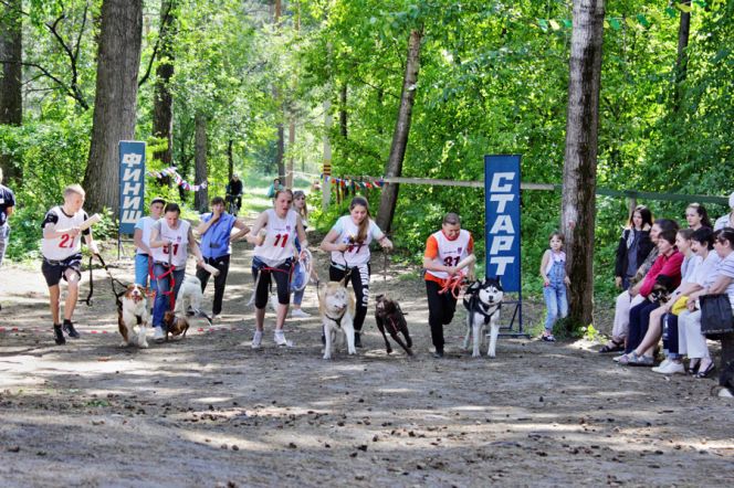 В Барнауле провели любительские соревнования «Каникросс 2017».