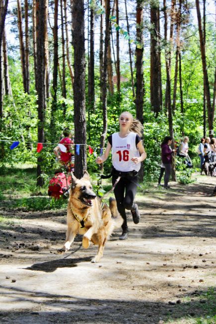 В Барнауле провели любительские соревнования «Каникросс 2017».