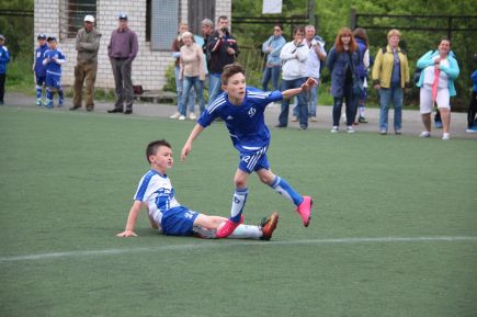 В Барнауле состоялся турнир открытого чемпионата ДФЛ "Большие звёзды светят малым" в дивизионе Евгения Городова и Александра Ерохина (фото).   