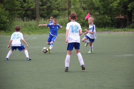 В Барнауле состоялся турнир открытого чемпионата ДФЛ "Большие звёзды светят малым" в дивизионе Евгения Городова и Александра Ерохина (фото).   