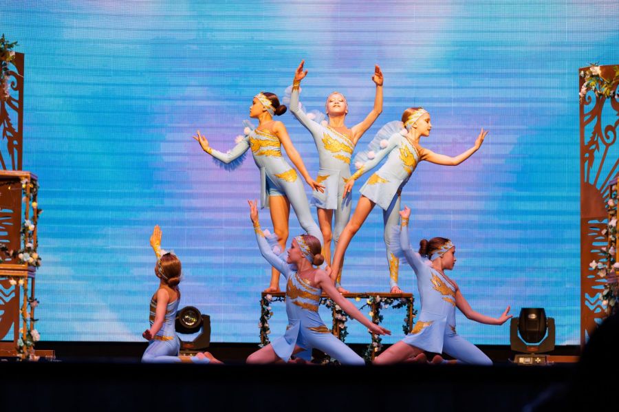 Фото предоставлены СШОР "Заря Алтая"