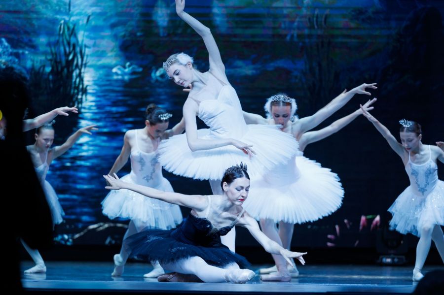 Фото предоставлены СШОР "Заря Алтая"