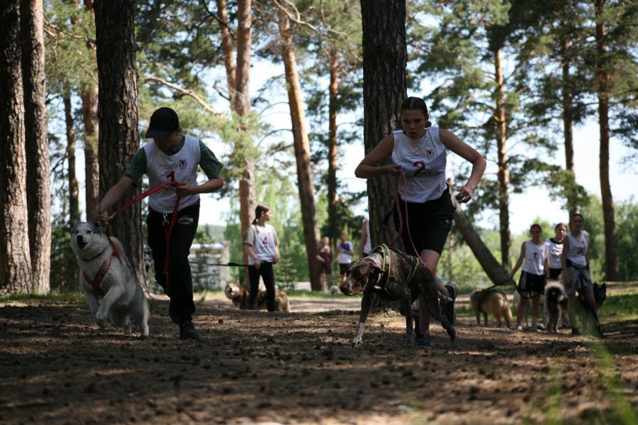 Фото: Дмитрий Пушкарёв