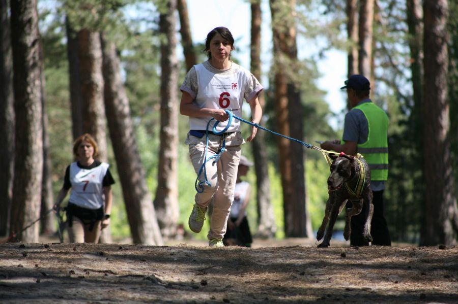 Фото: Дмитрий Пушкарёв