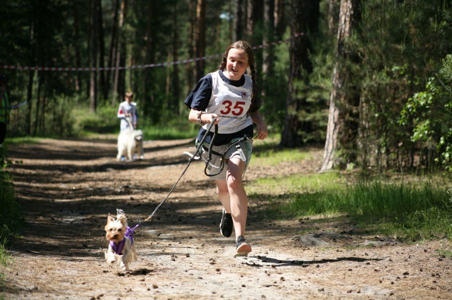 Фото: Дмитрий Пушкарёв