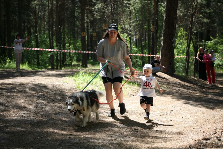 Фото: Дмитрий Пушкарёв