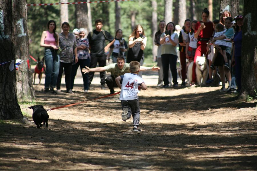 Фото: Дмитрий Пушкарёв
