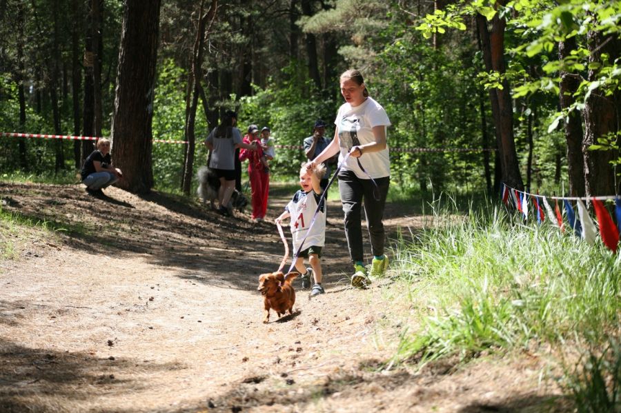 Фото: Дмитрий Пушкарёв
