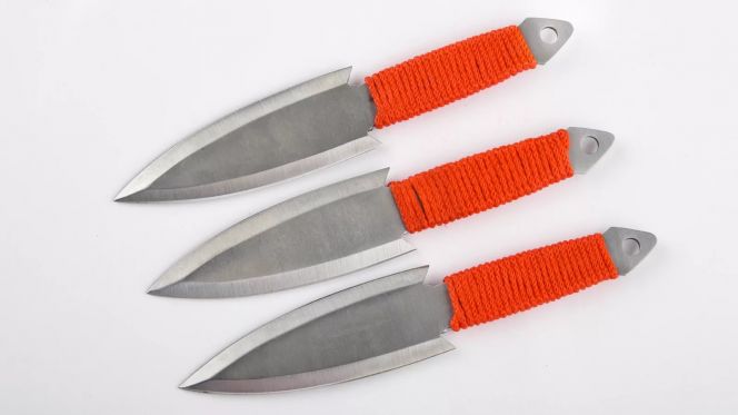 12 августа. Барнаул. СОШ № 84. Спортивное метание ножа. 