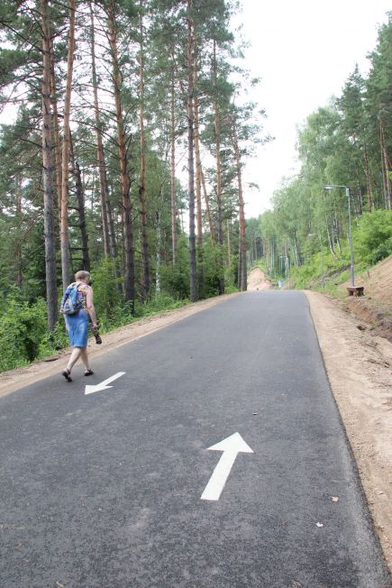 Олимпийская смена