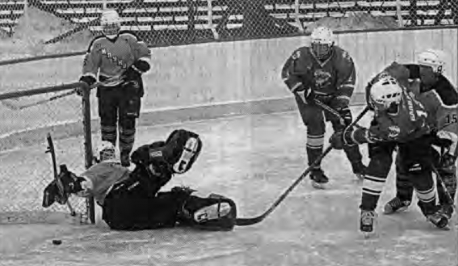 Играют команды Залесовского и Шипуновского районов. Фото: Сергей Башлычёв/ "Алтайская правда"