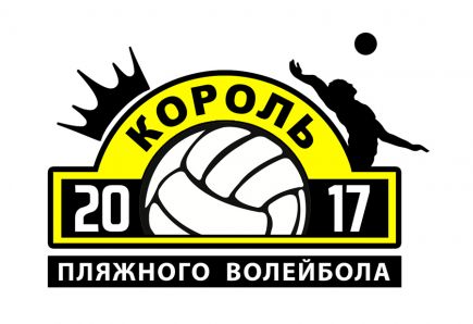 В барнаульском «Парке спорта» 2-3 сентября пройдёт краевой фестиваль «Король пляжного волейбола – 2017».