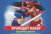 Краевая СДЮШОР по боксу «Алтайский ринг» проводит приём учащихся.