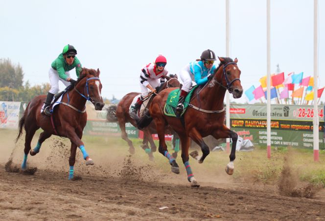 IV этап Большого Сибирского круга – «Кубок губернатора Алтайского края – 2017»