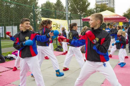 Позитивный заряд