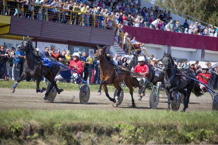 На Барнаульском ипподроме прошли «Кубок губернатора Алтайского края» в рамках IV этапа Большого Сибирского круга и Всероссийский фестиваль орловского рысака «Сибирь-2017».
