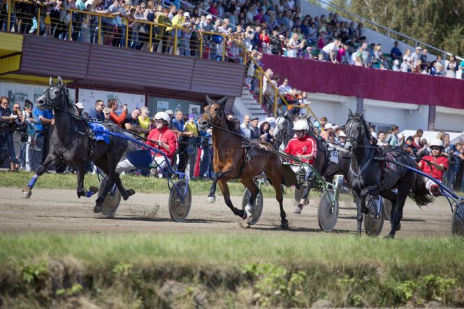 Беговой сезон на Барнаульском ипподроме откроют 20 мая