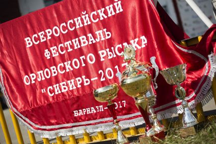 На Барнаульском ипподроме прошли «Кубок губернатора Алтайского края» в рамках IV этапа Большого Сибирского круга и Всероссийский фестиваль орловского рысака «Сибирь-2017».