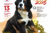 13 сентября на Гребном канале в Барнауле состоится выставка собак «Азия Осень 2025»