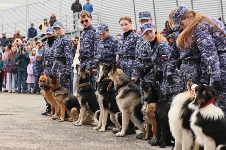 В церемонии открытия с показательными выступлениями приняли участие воспитанники Алтайского техникума кинологии и предпринимательства со своими питомцами. Фото: Александр Чёрный/"Алтайский спорт"
