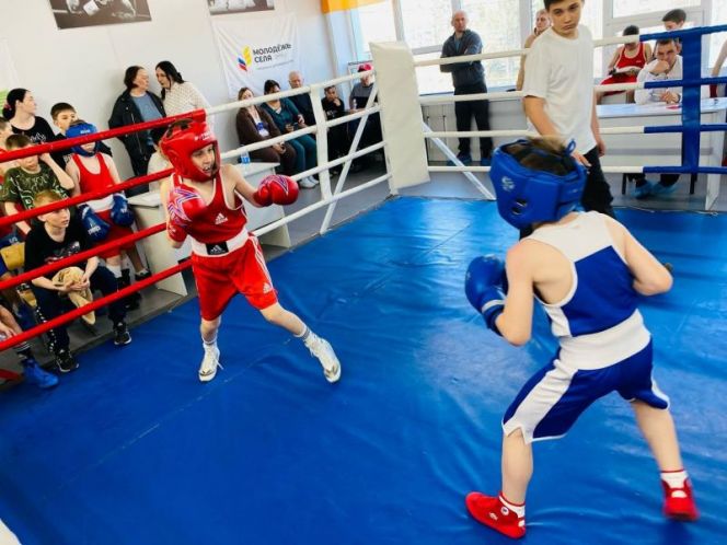 СШОР №3 г. Барнаула объявляет набор мальчиков и девочек с 9 лет и старше для занятий  боксом