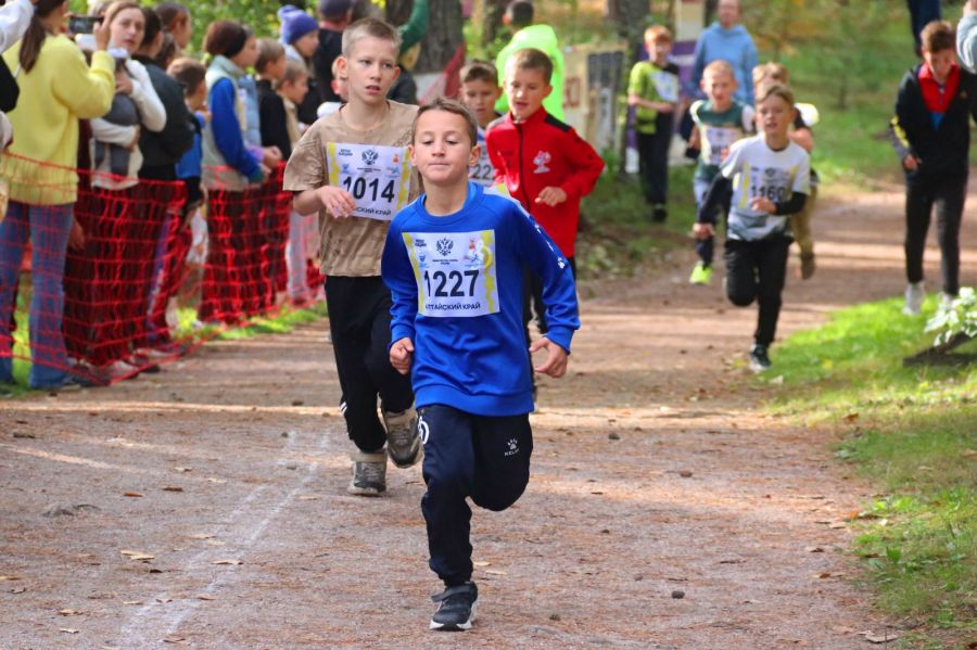 Фото: Олег Харлов / «Алтайский спорт»