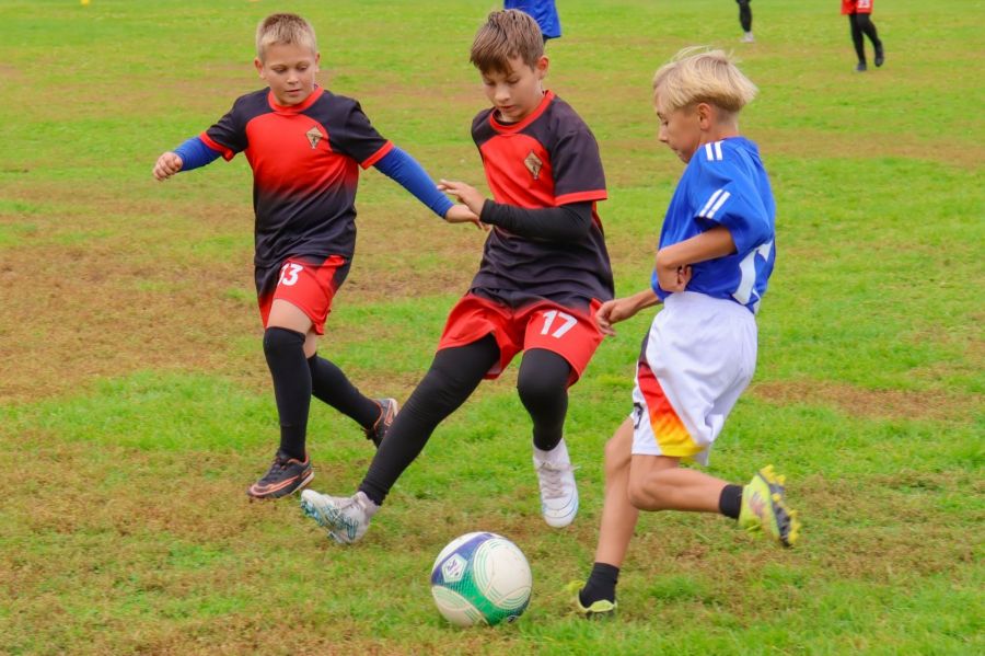 Фото: Анастасия Локтионова