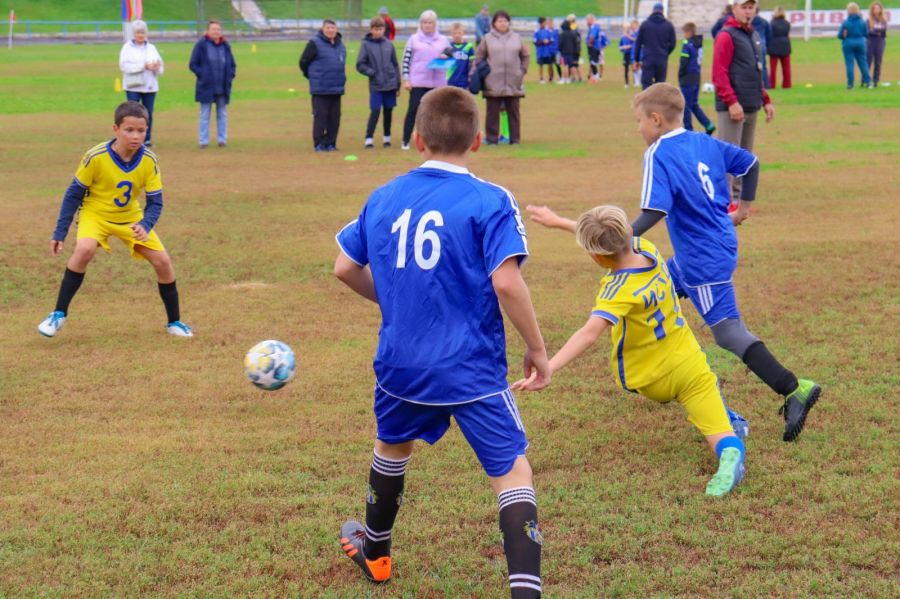 Фото: Анастасия Локтионова