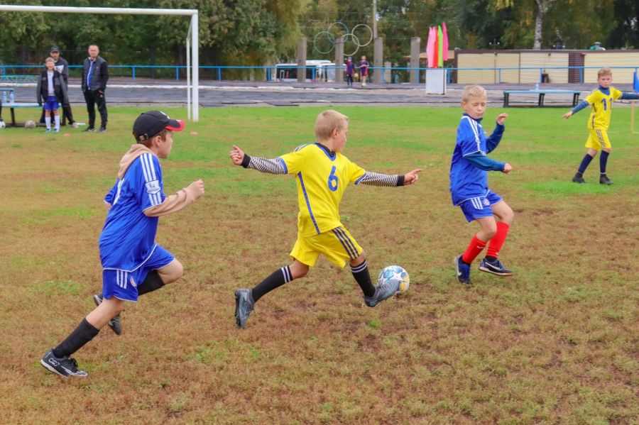 Фото: Анастасия Локтионова