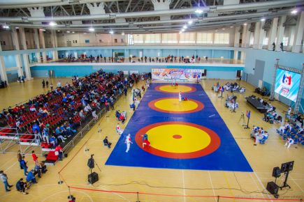 Жанна Притула, Дмитрий Шилов и Вячеслав Агапушкин – призёры первенства России среди юношей и девушек 15-16 лет.