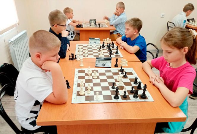 Фото: Федерация шахмат Алтайского края