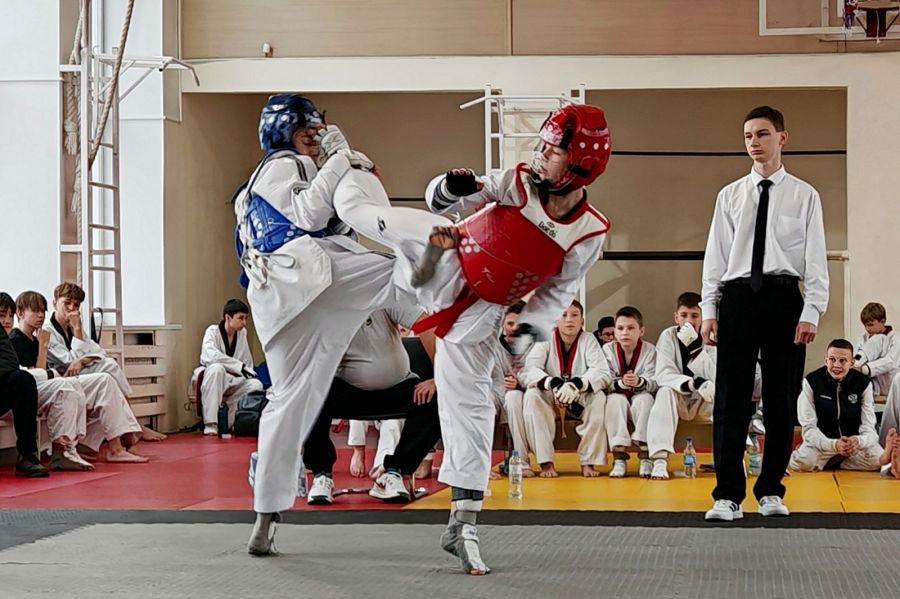 В Барнауле завершился турнир по тхэквондо ВТФ 45-й Спартакиады краевых спортивных школ